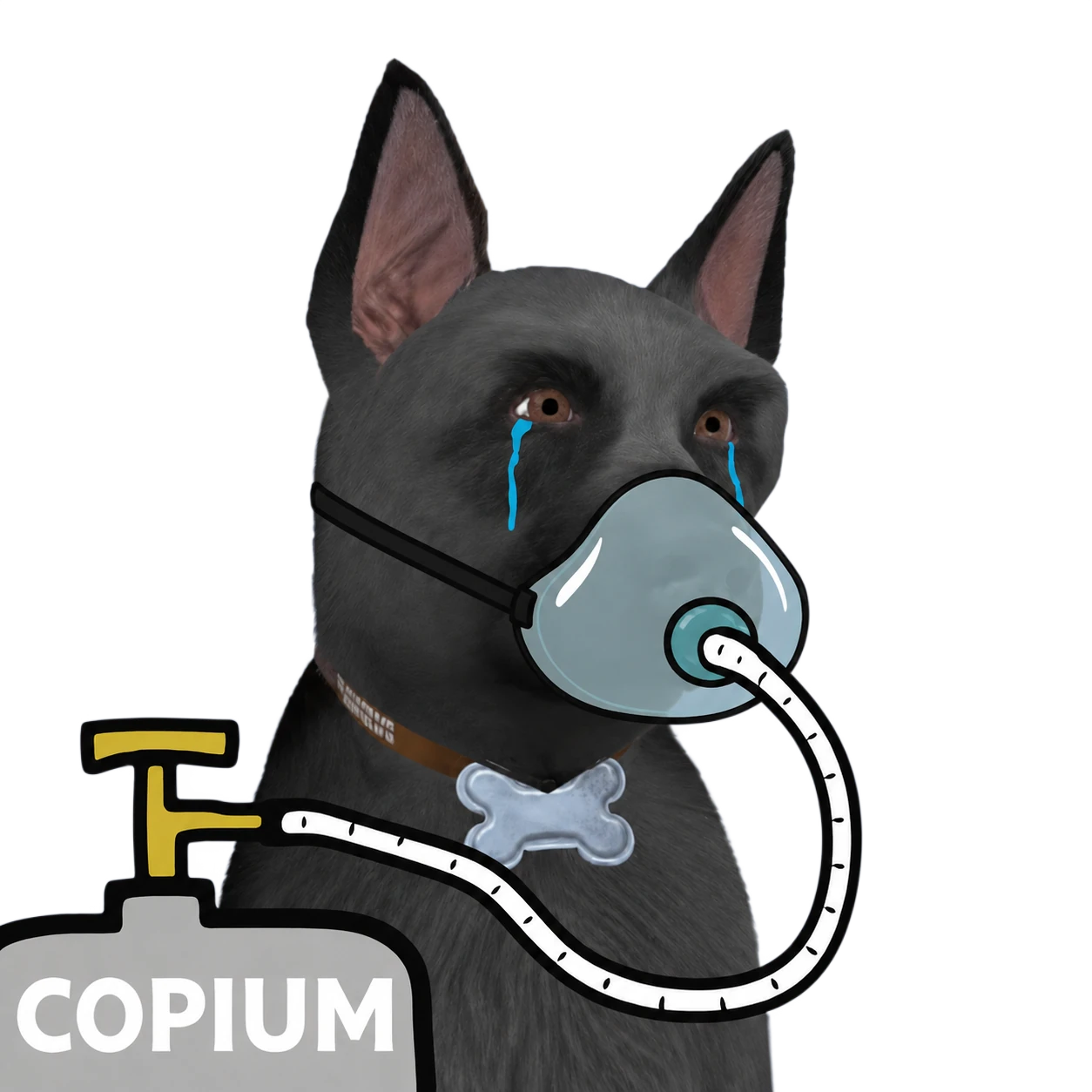 Copium Dog with an oxygen tank
